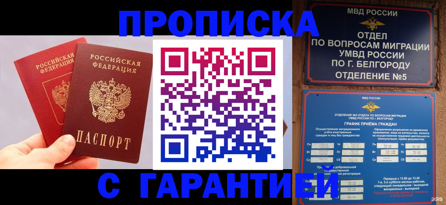 прописка 2025 в Губкине